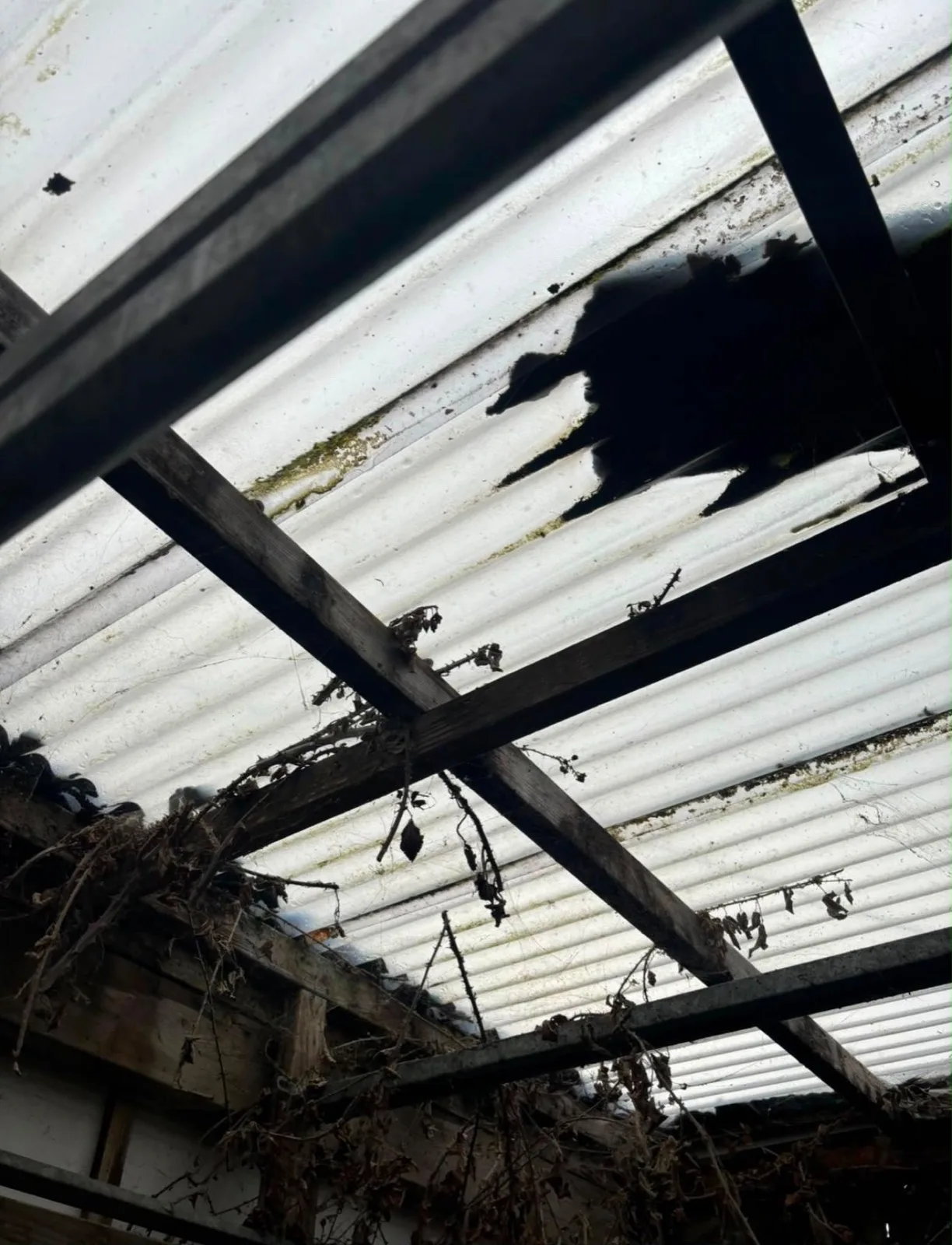 Flat roofing, image 2