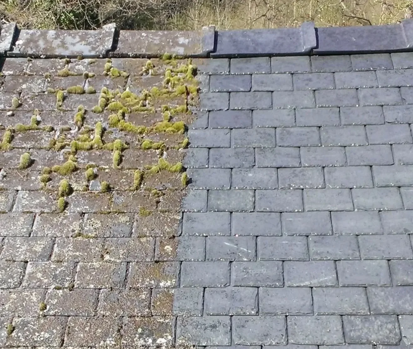 Roof cleaning and moss removal